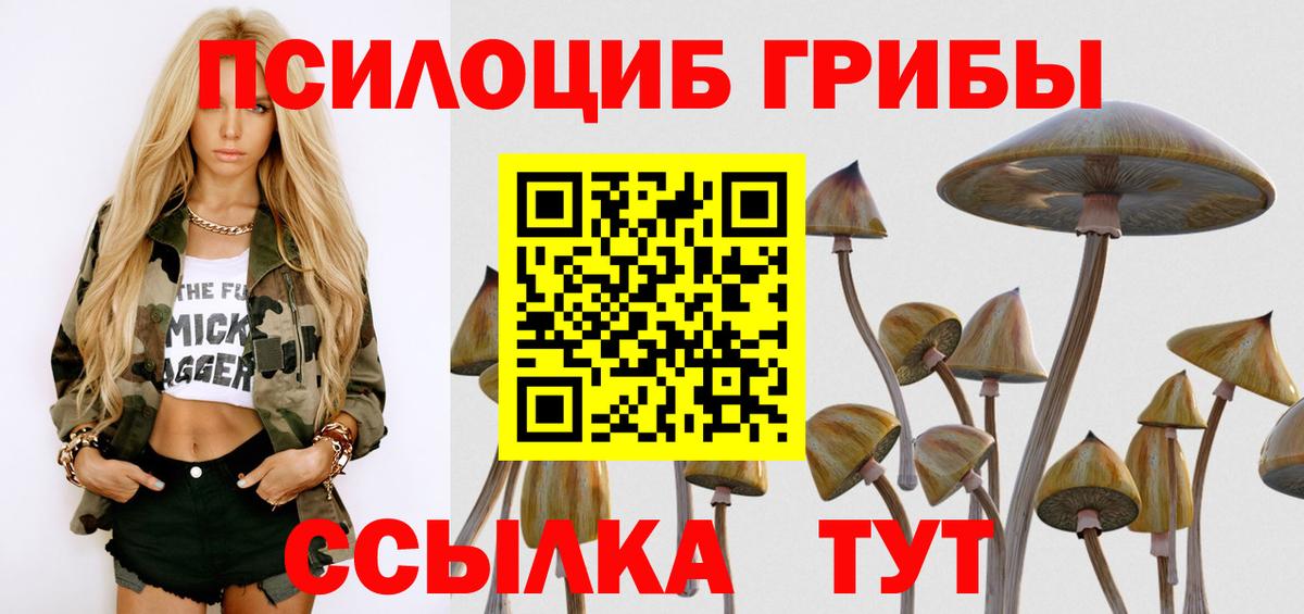 Галлюциногенные грибы прущие грибы Канаш