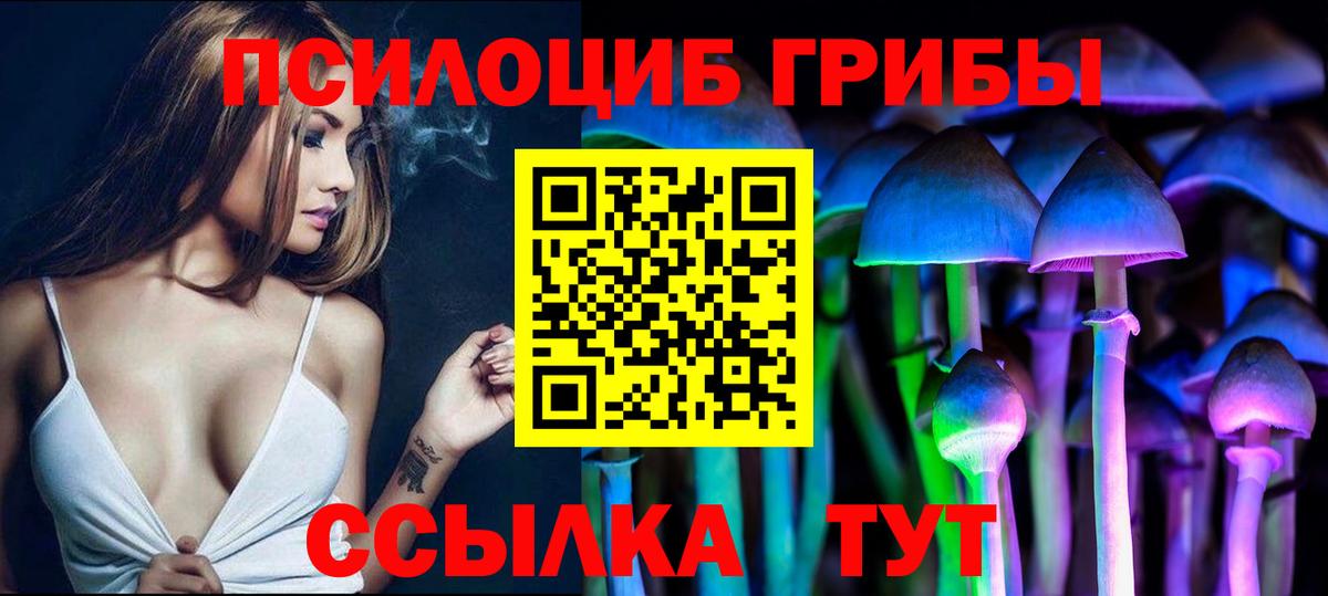 Псилоцибиновые грибы мухоморы  Псилоцибиновые грибы Psilocybe  Вход с VPN  Канаш 
